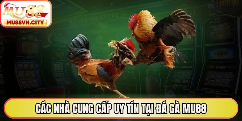 Các nhà cung cấp uy tín tại đá gà MU88
